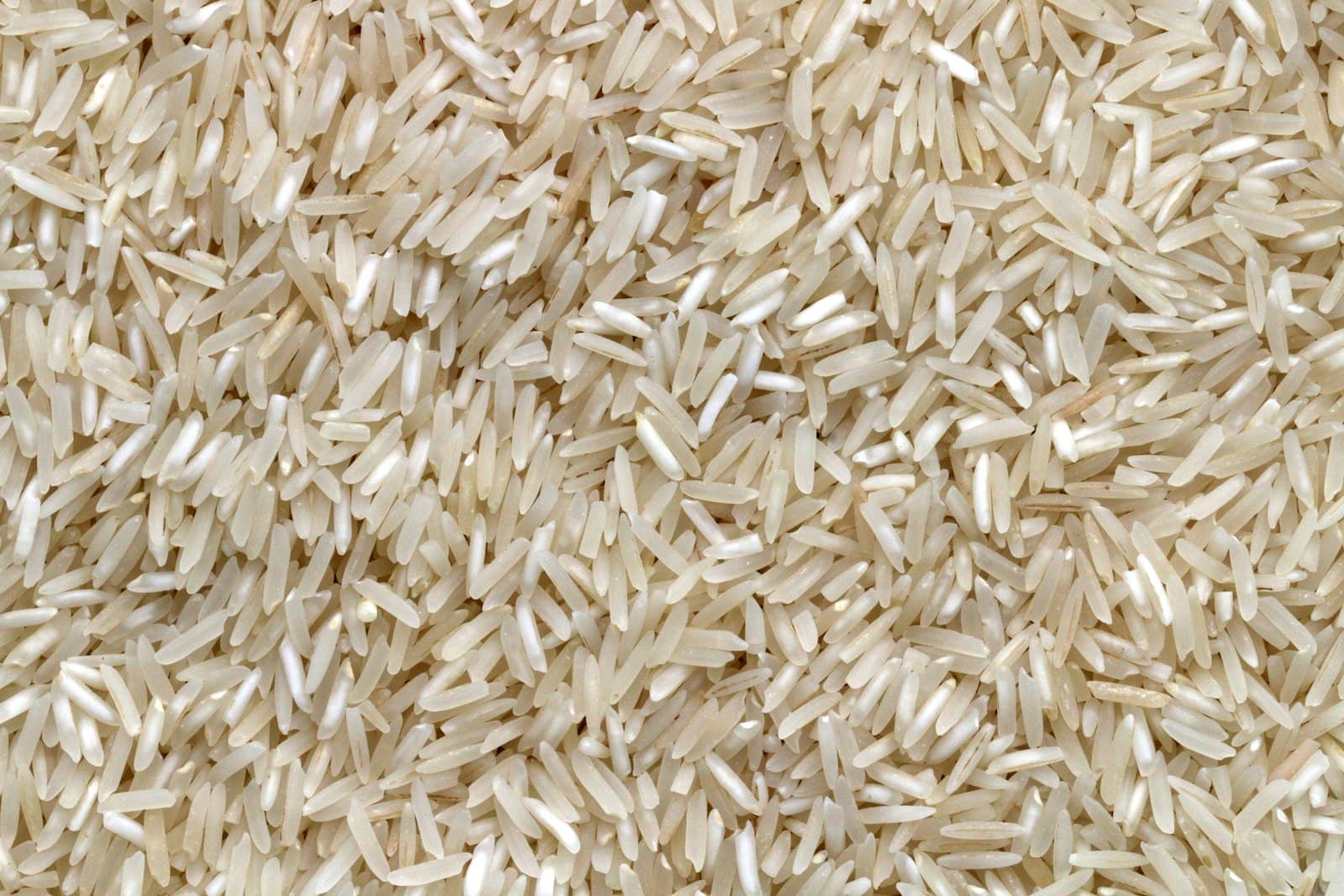 A close view of uncooked rice grains